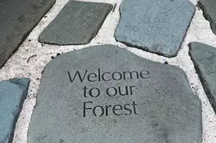 17 Praise Ct, Fenton, MO 63026 - Photo 40