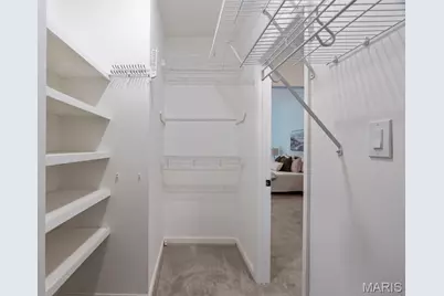 730 Willow Spring Hill Court, Chesterfield, MO 63017 - Photo 60