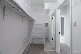 730 Willow Spring Hill Ct, Chesterfield, MO 63017 - Photo 58