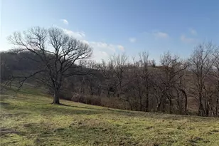 4015 Pike 9140, Louisiana, MO 63353 - Photo 16