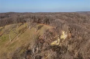 4015 Pike 9140, Louisiana, MO 63353 - Photo 8