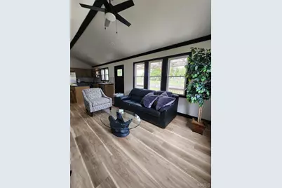 28 Park Street, Farmington, MO 63640 - Photo 6