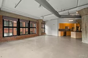 1619 Washington Ave, Saint Louis, MO 63103 - Photo 16