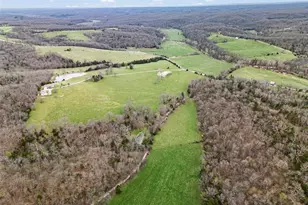 5301 Little Spring Creek Rd, Sullivan, MO 63080 - Photo 52