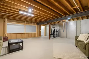 5753 Forest Dr, Hillsboro, MO 63050 - Photo 42