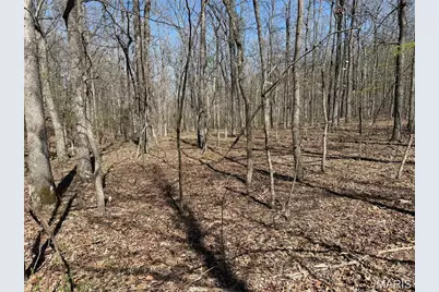 1 Off Fsr 2531, Bellerive, MO 63623 - Photo 34