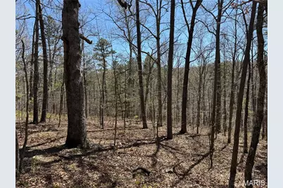 1 Off Fsr 2531, Bellerive, MO 63623 - Photo 26