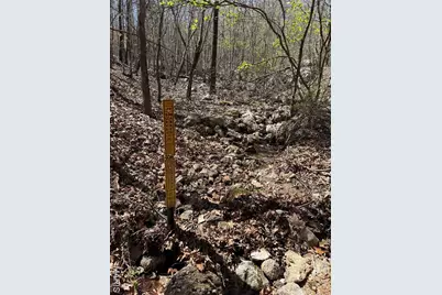 1 Off Fsr 2531, Bellerive, MO 63623 - Photo 16