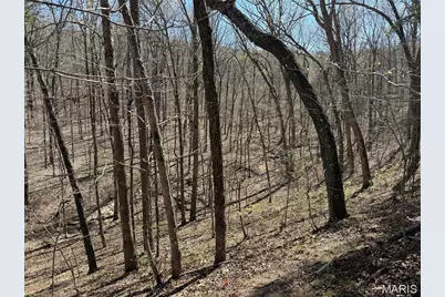 1 Off Fsr 2531, Bellerive, MO 63623 - Photo 36