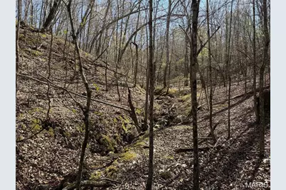 1 Off Fsr 2531, Bellerive, MO 63623 - Photo 32