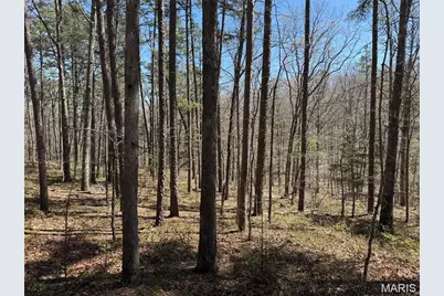 1 Off Fsr 2531, Bellerive, MO 63623 - Photo 8