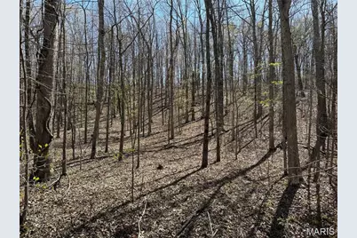 1 Off Fsr 2531, Bellerive, MO 63623 - Photo 10