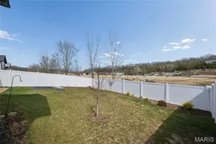 114 Doctrine Dr, Festus, MO 63028 - Photo 22
