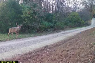 2 Whitetail Rdg Rd, Eolia, MO 63344 - Photo 36