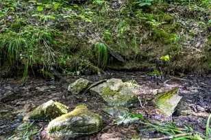 2 Whitetail Rdg Rd, Eolia, MO 63344 - Photo 84