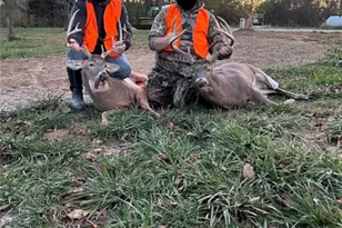 2 Whitetail Rdg Rd, Eolia, MO 63344 - Photo 4