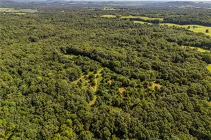 2 Whitetail Rdg Rd, Eolia, MO 63344 - Photo 44