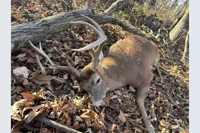 2 Whitetail Ridge Road, Eolia, MO 63344 - Photo 58