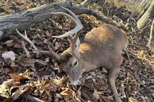 2 Whitetail Rdg Rd, Eolia, MO 63344 - Photo 58