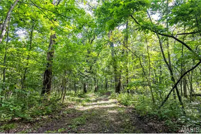 2 Whitetail Ridge Road, Eolia, MO 63344 - Photo 68