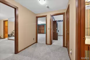 17602 Ailanthus Dr, Wildwood, MO 63005 - Photo 50