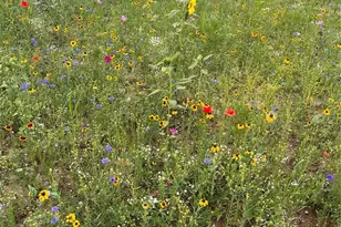 2735 St Peters Howell Rd, Saint Peters, MO 63376 - Photo 36