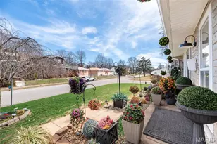 4028 Blow St, Saint Louis, MO 63116 - Photo 36