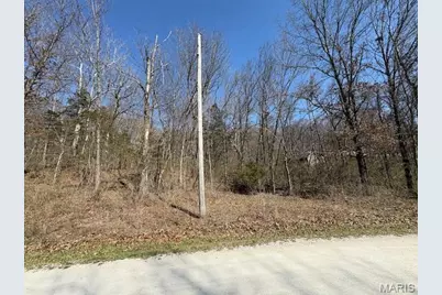 40 Winding Lane, Troy, MO 63379 - Photo 6