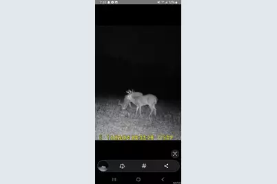 5437 Highway D, Farmington, MO 63640 - Photo 76