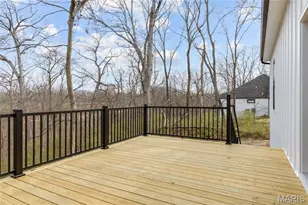 218 Ella Rose Ln, Saint Charles, MO 63304 - Photo 36