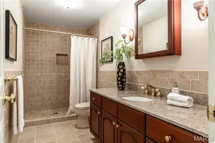 14301 Manderleigh Woods Dr, Town and Country, MO 63017 - Photo 46
