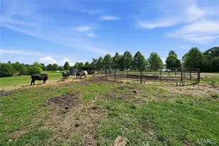 7816 Rye Creek Rd, Lonedell, MO 63060 - Photo 58