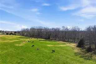 7816 Rye Creek Rd, Lonedell, MO 63060 - Photo 2