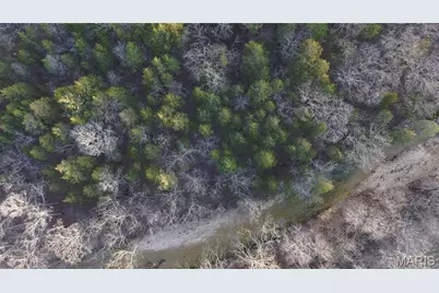 4828 Whitehead Road, Hillsboro, MO 63050 - Photo 20