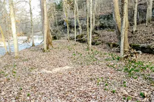 4828 Whitehead Rd, Hillsboro, MO 63050 - Photo 42