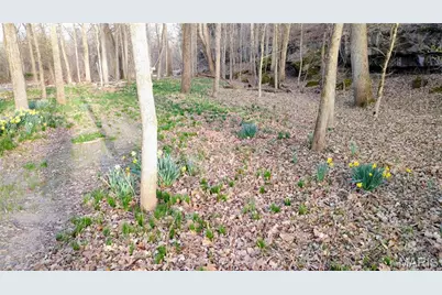 4828 Whitehead Road, Hillsboro, MO 63050 - Photo 46