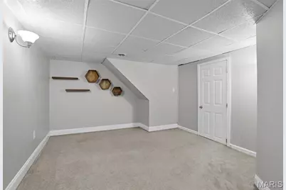 9209 Lucia Drive, Saint Louis, MO 63123 - Photo 20