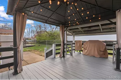 9209 Lucia Drive, Saint Louis, MO 63123 - Photo 26