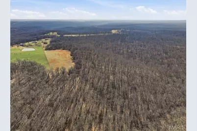 86.6+/- Acre Beechnut, Grover, MO 65078 - Photo 12