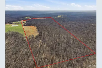 86.6+/- Acre Beechnut, Grover, MO 65078 - Photo 14