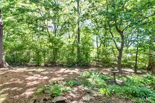 39 Ridgeview Cir Ct, Ballwin, MO 63021 - Photo 46