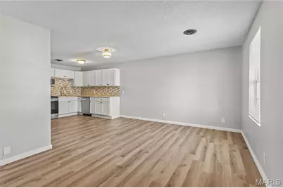 806 Virginia Avenue, Festus, MO 63028 - Photo 4