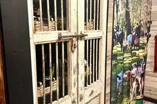 1608 Coventry Ln, Rolla, MO 65401 - Photo 14