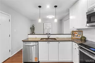 1541 Milbridge Dr, Chesterfield, MO 63017 - Photo 18