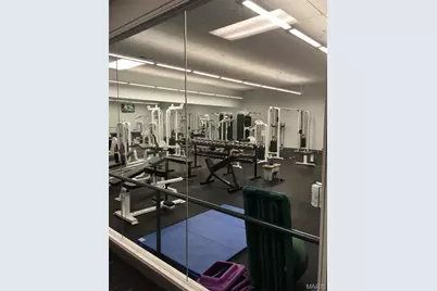 11001 Saint Raphael Lane, Saint Ann, MO 63074 - Photo 50