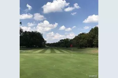 11001 Saint Raphael Lane, Saint Ann, MO 63074 - Photo 52