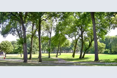 11001 Saint Raphael Lane, Saint Ann, MO 63074 - Photo 46