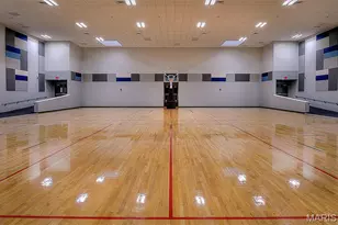 11001 St Raphael Ln, Saint Ann, MO 63074 - Photo 48