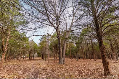 10135 Oakland Drive, Cadet, MO 63630 - Photo 32