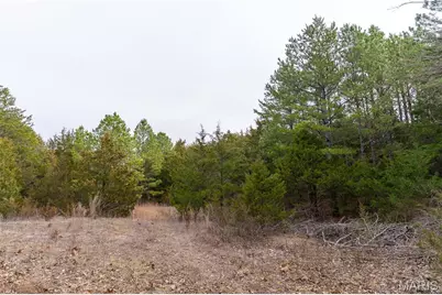 10135 Oakland Drive, Cadet, MO 63630 - Photo 70